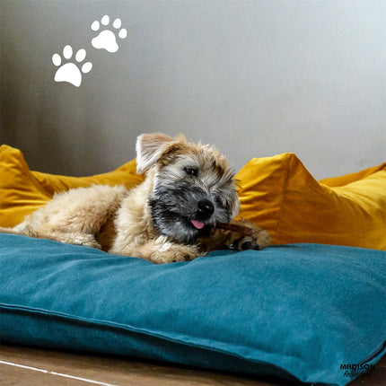 Hundekissen Komfort Ca100x70x10 cm Panama Sea Blau