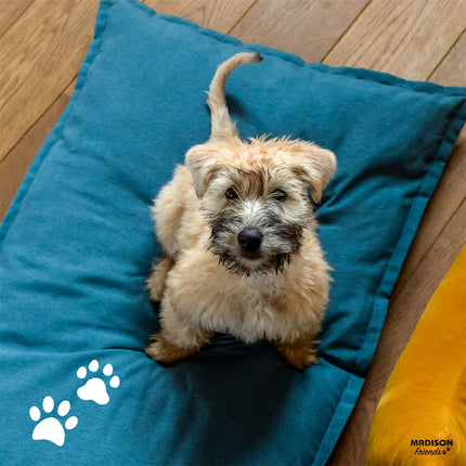 Hundekissen Komfort Ca100x70x10 cm Panama Sea Blau