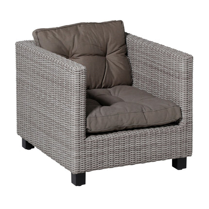 Die Floranz ist ungefähr 60x60 cm Rippenleber